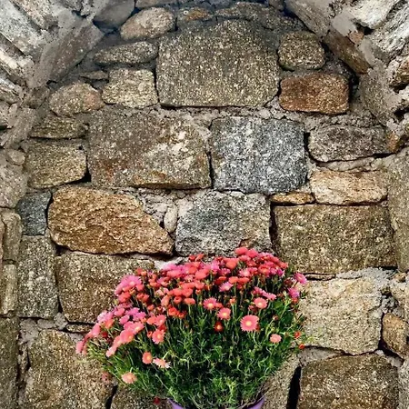Beautiful Traditional Apt In Mikonos Ано Мера